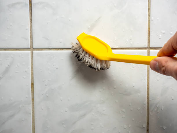 Best Attic Mold Removal  in Franklin, PA