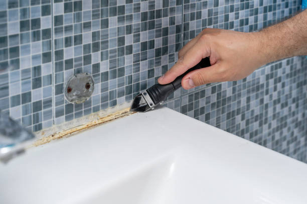 Best Mold Inspection  in Franklin, PA