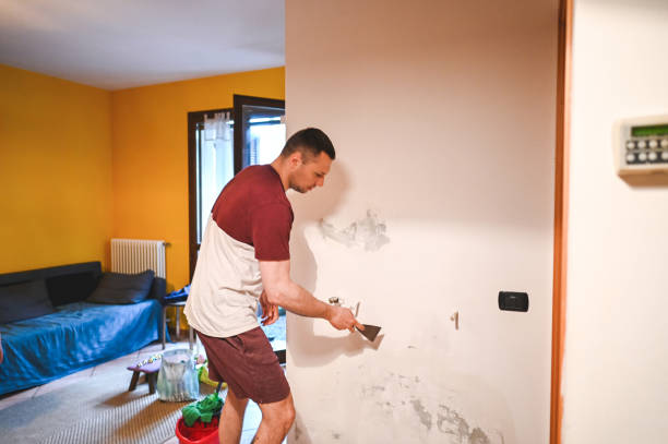 Best Affordable Mold Removal  in Franklin, PA
